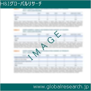 グローバルリサーチ調査レポートのイメージ